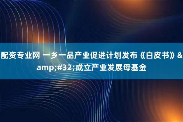 配资专业网 一乡一品产业促进计划发布《白皮书》&#32;成立产业发展母基金