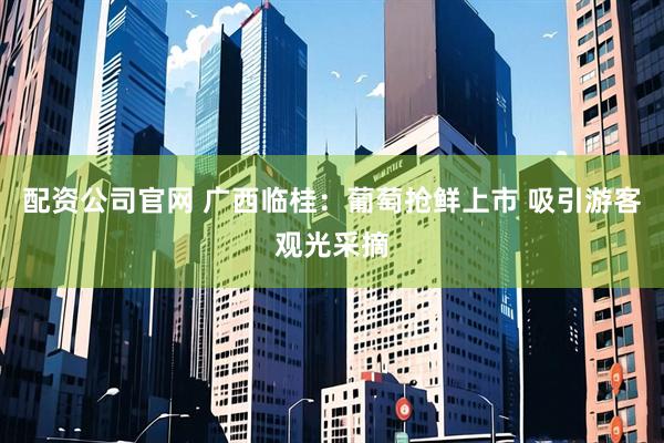 配资公司官网 广西临桂：葡萄抢鲜上市 吸引游客观光采摘