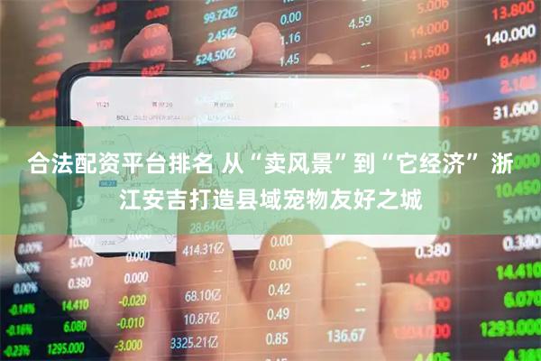 合法配资平台排名 从“卖风景”到“它经济” 浙江安吉打造县域宠物友好之城